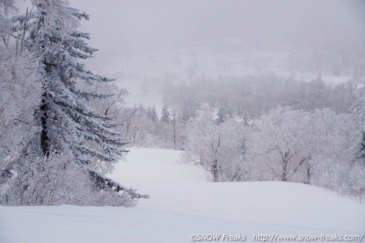 札幌国際スキー場 『LOVE SKI HOKKAIDO』最終回のTV撮影に密着！