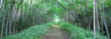糠平湖