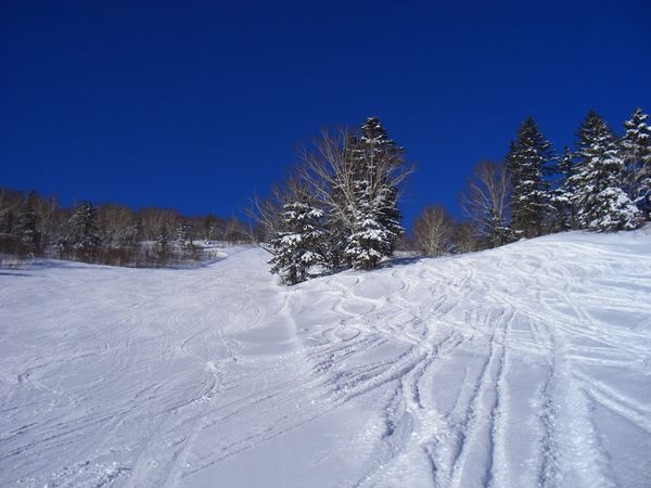 サッポロテイネスキー場雪山レポート
