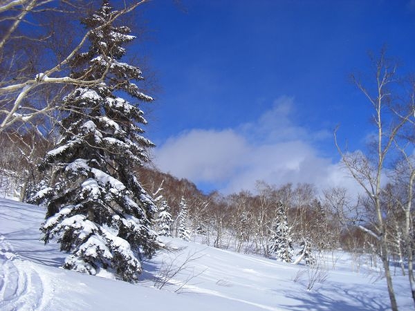 サッポロテイネスキー場雪山レポート