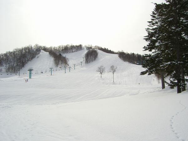 コバワールドスキー場雪山レポート