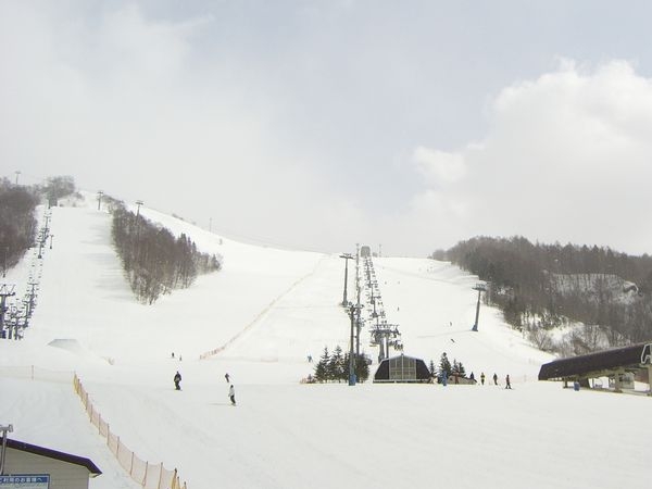 マウントレースイスキー場雪山レポート