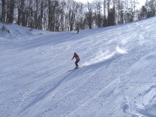 さっぽろばんけいスキー場雪山レポート