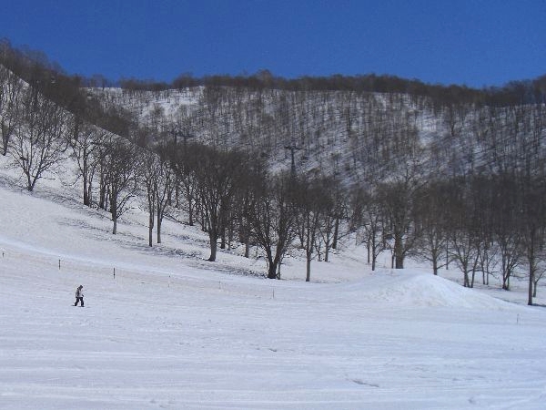 ニセコアンヌプリ国際 雪山レポート