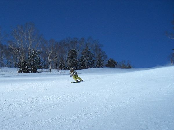 札幌国際ゲレンデ情報