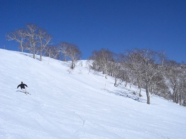 札幌国際  雪山レポート