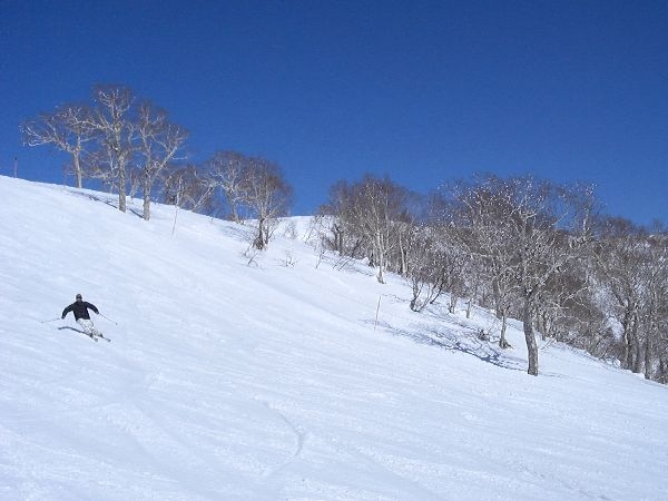 札幌国際ゲレンデ情報