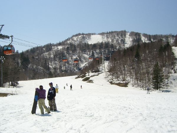 札幌国際ゲレンデ情報