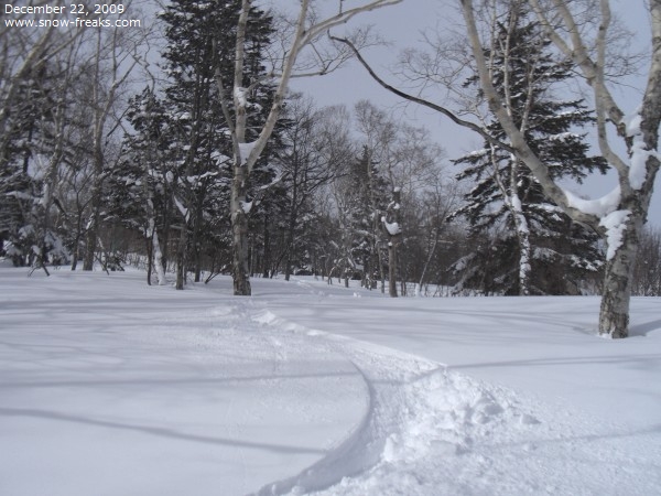 ニセコモイワスキーリゾート 雪山レポート