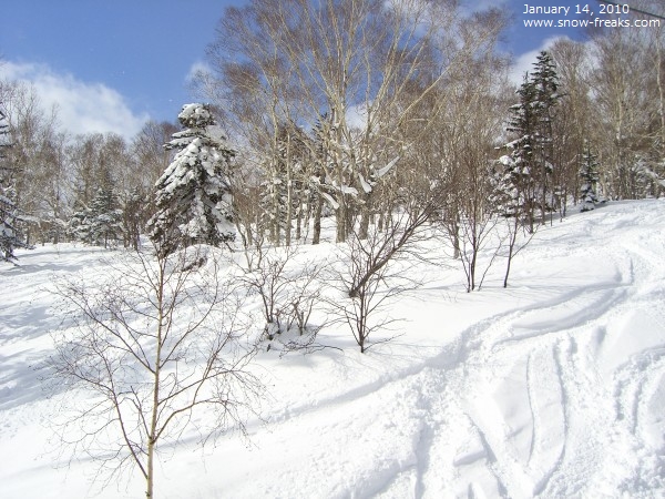 サッポロテイネ 雪山レポート