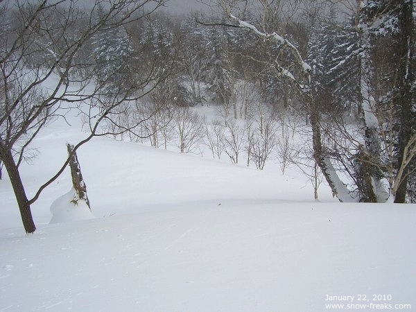 札幌国際スキー場 雪山レポート