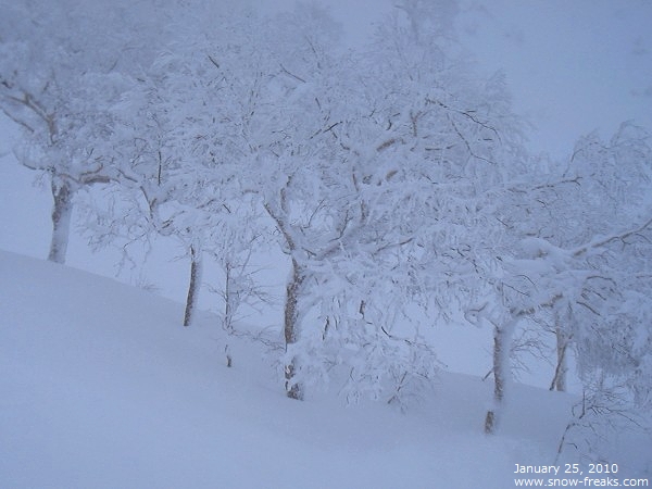 旭岳ロープウェイスキー場 雪山レポート