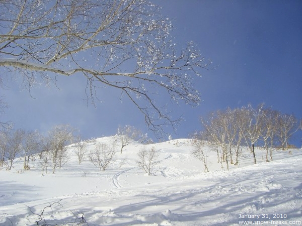 アルファリゾート･トマム スキー場 雪山レポート