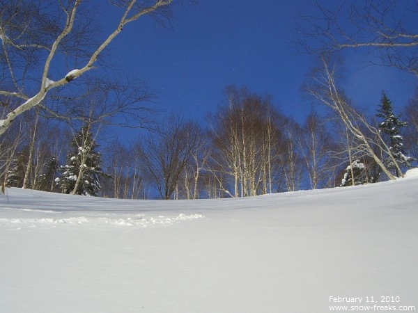 サホロリゾート スキー場 雪山レポート