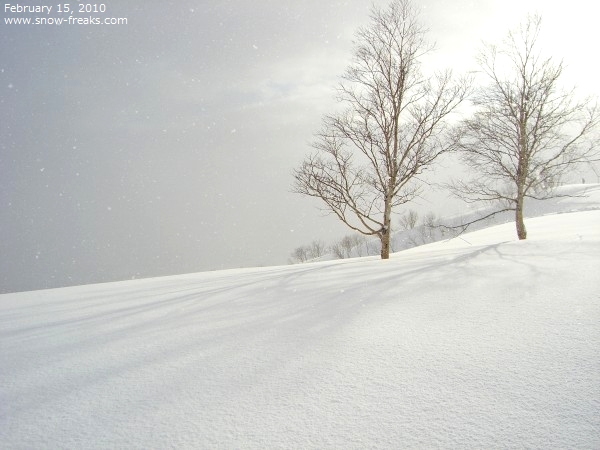 ニセコアンヌプリ国際 スキー場 雪山レポート