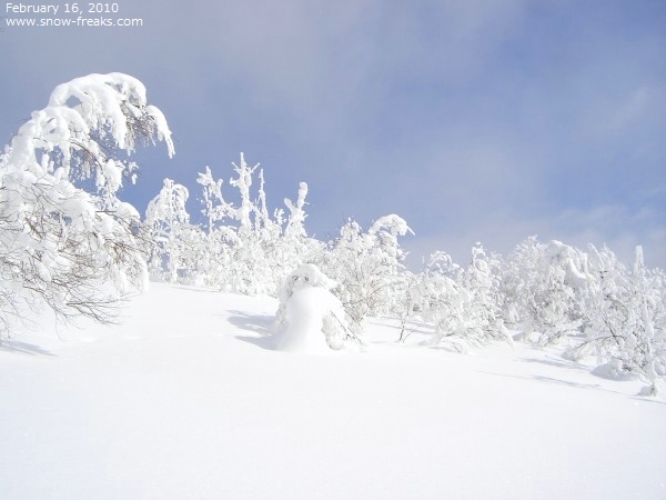 キロロスノーワールド スキー場 雪山レポート