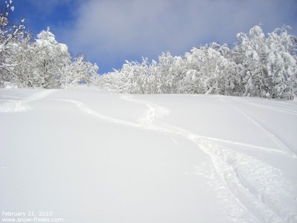 旭岳ロープウェイ スキー場 雪山レポート
