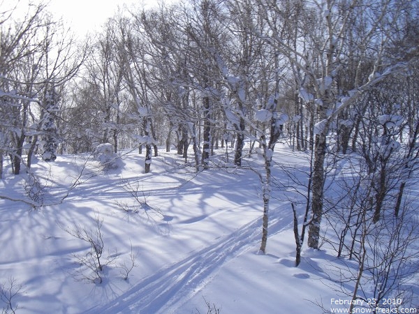 札幌国際 スキー場 雪山レポート