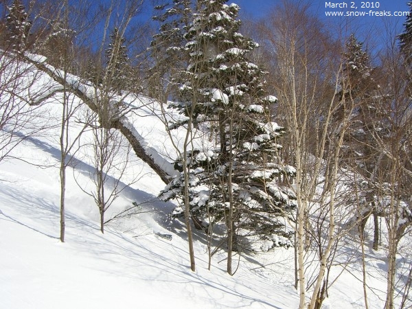 富良野スキー場 雪山レポート