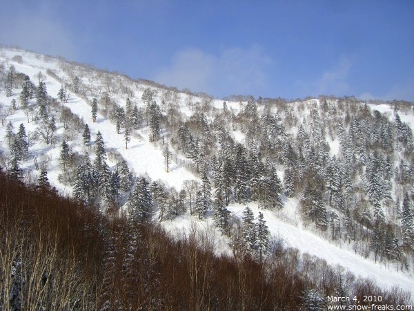 アルファリゾート･トマムスキー場 雪山レポート