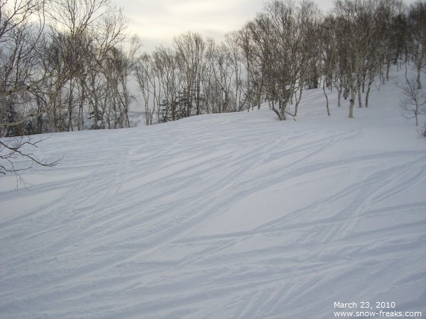 札幌国際スキー場 雪山レポート