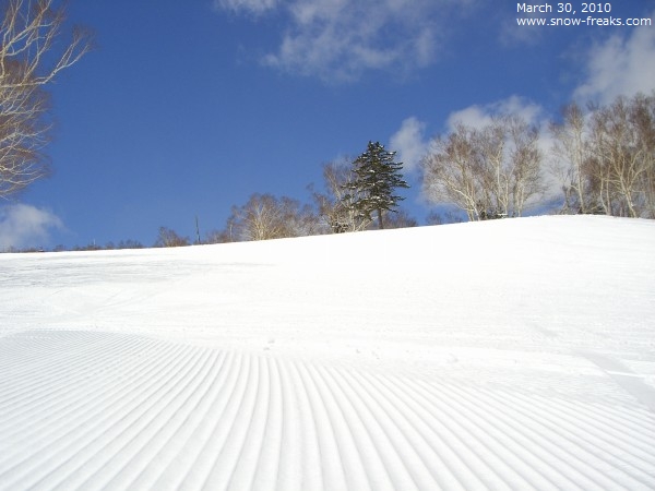 ニセコアンヌプリ国際スキー場 雪山レポート