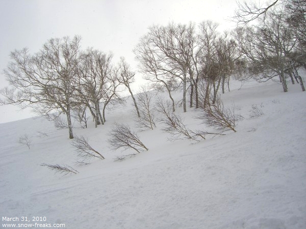 富良野スキー場 雪山レポート