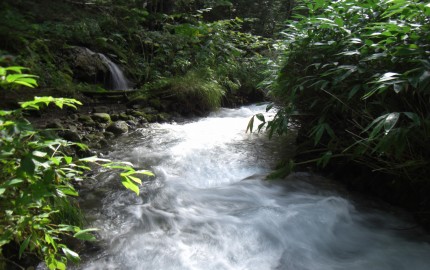 白金温泉